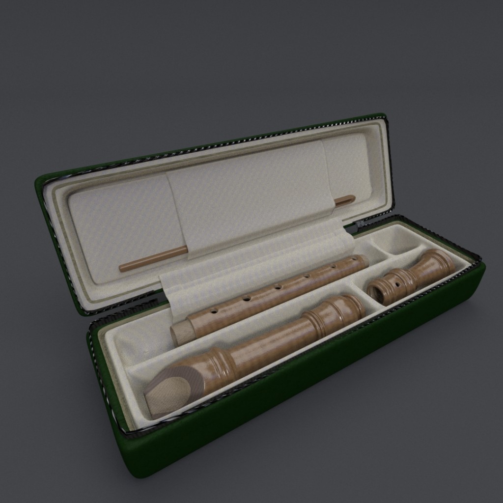 Recorder with Case preview image 1